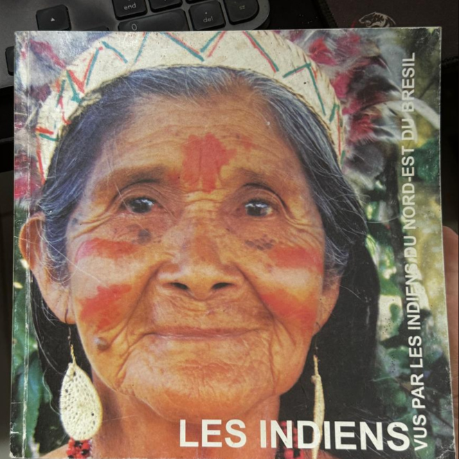 visao indigena PNG 1x1 (4).png